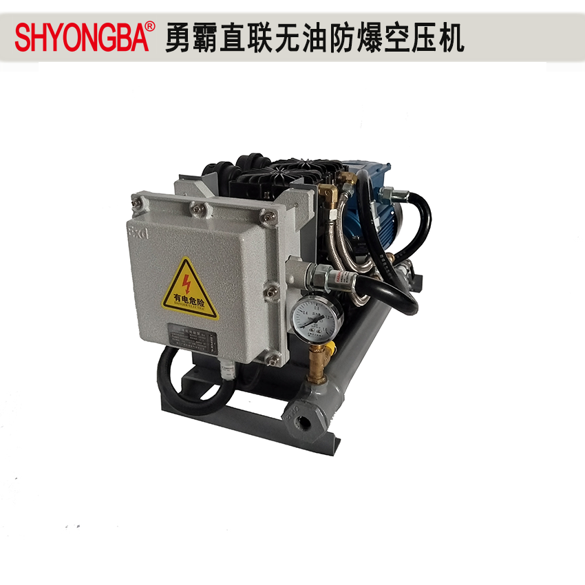 EXYB-1.5A直联无油防爆空压机